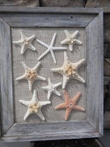 six starfishs are arranged in a shadow box