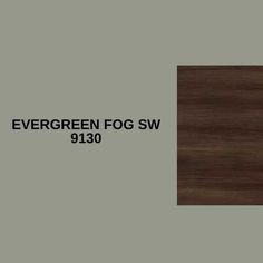 the evergreen fog sw logo is shown on a dark brown background with black text that reads evergreen fog sw 910