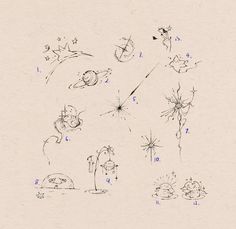 the drawing shows how to draw dandelions with numbers and symbols for each flower