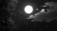 black and white photograph of the moon in the night sky with clouds, stars and trees