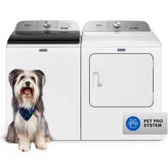 a dog is sitting next to a washer and dryer