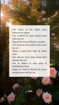 an image of flowers with the sun shining in the background and text that reads,'teri soorat se hai aan mein meen '