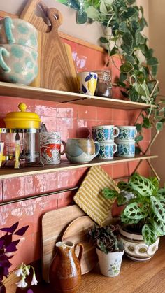 some plants are sitting on the shelf in front of pots and pans with teapots