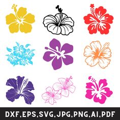 hawaiian flower clipart set in different colors