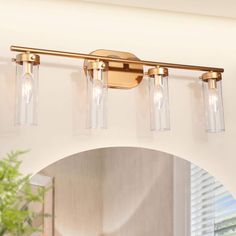 a bathroom light fixture with three lights on it's side and a potted plant in the background