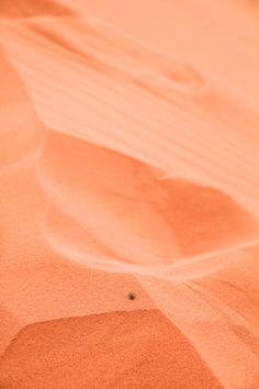 an orange sand dune with a small black object in the middle of it's surface