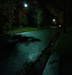 an empty street at night with the lights on and trees in the dark behind it