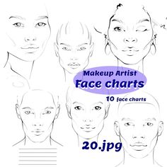 the face chart for makeup artist faces