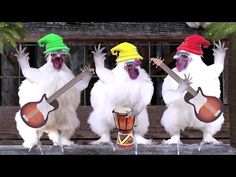 three white birds wearing colorful hats and holding musical instruments