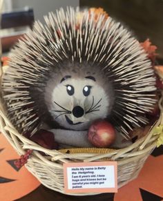 a stuffed hedgehog sitting in a basket with an apple