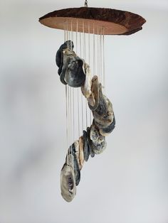 a mobile made out of shells hanging from a wooden ceiling fixture in the shape of an animal's head