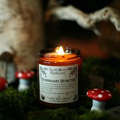 a candle that is sitting in the grass next to some mushrooms and other things on the ground