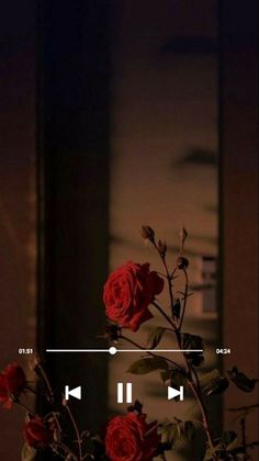 a vase filled with red roses sitting on top of a table next to an mp3 player