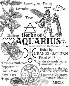 an image of the words and symbols for aquariush