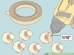 how to make seashells with pictures wikihow