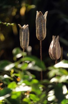 three metal flowers with leaves in the background