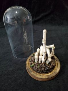 there is a small wooden base with mushrooms in it and a glass dome on the table