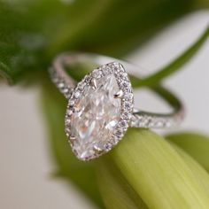 a diamond ring sitting on top of a flower