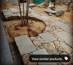 a stone path in the middle of a yard with trees and rocks around it that have been cut down