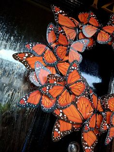 a bunch of butterflies that are on the side of a door