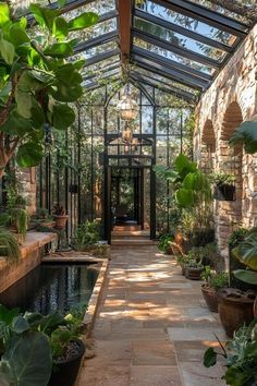 an indoor greenhouse with lots of plants and water