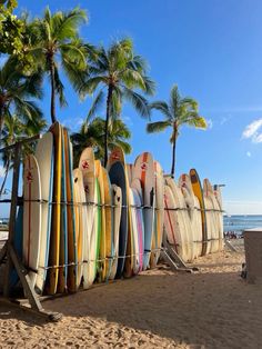 many surfboards are lined up on the beach