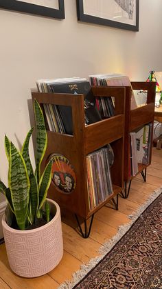 there is a plant in a pot next to the bookshelf on the floor