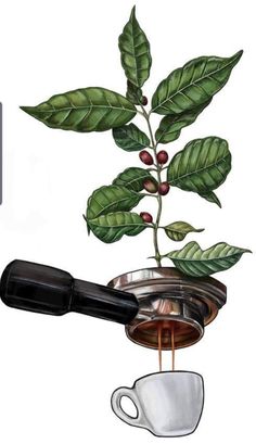 a drawing of coffee being poured into a cup with leaves on the top and bottom