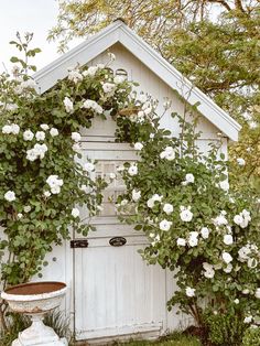 a white garden shed with flowers growing on it