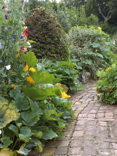 a garden with lots of plants and flowers growing on it's sides, along with a brick path