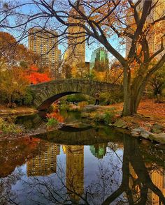 a stone bridge over a pond surrounded by tall buildings in the fall with leaves on the ground