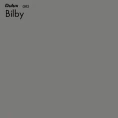 the album cover art for billy