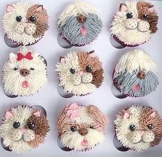 the cupcakes are decorated like animals with bows