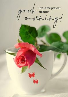 a pink rose sitting in a white cup with green leaves on the side and words good morning