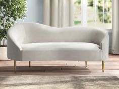 a white couch sitting on top of a wooden floor next to a potted plant