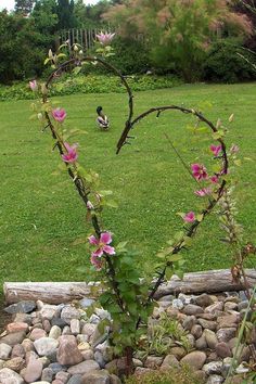 a heart shaped tree branch with pink flowers in the foreground and a duck on the other side