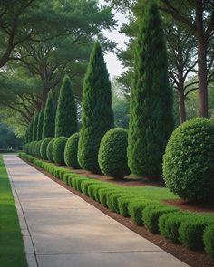 a line of trees and bushes along a sidewalk