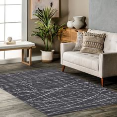 a living room area with a couch, coffee table and potted plant