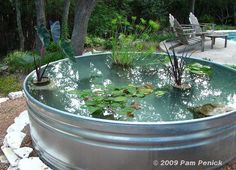 a large metal tub filled with water and plants next to a park bench in the background