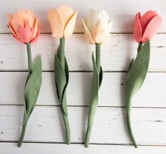 three different colored flowers are placed next to each other