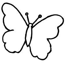 a black and white drawing of a butterfly