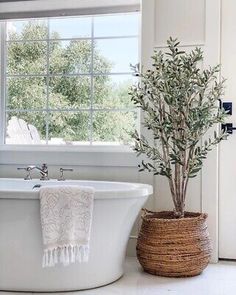 a white bath tub sitting under a window next to a plant in a basket on the floor