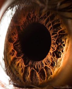 an extreme close up view of the iris of a human eye