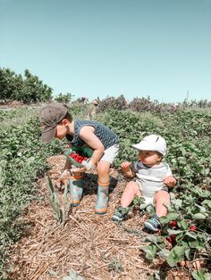 two toddlers playing in a field with plants