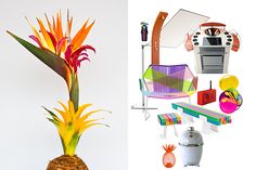 a pineapple is sitting next to an image of a tropical plant and other items