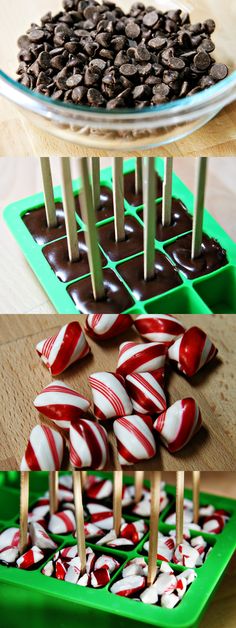 chocolate lollipops are arranged on green trays next to a bowl of chocolate chips