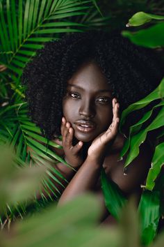 a woman is posing in the jungle with her hands on her face and palm leaves around her