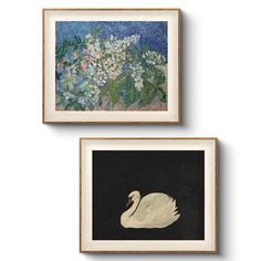 two framed paintings of swans in front of white flowers and green leaves on a black background