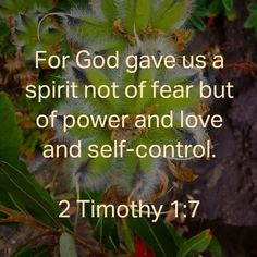 a plant with the words for god gave us a spirit not of fear but of power and love and self - control