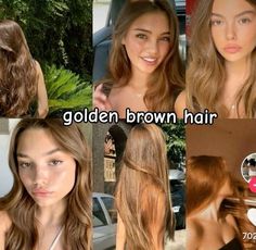 Golden Brown Hair, Brown Hair Looks, Hair Stylies, Dye My Hair, Hair Inspiration Color, Hair Inspo Color, Light Brown Hair, Brunette Hair